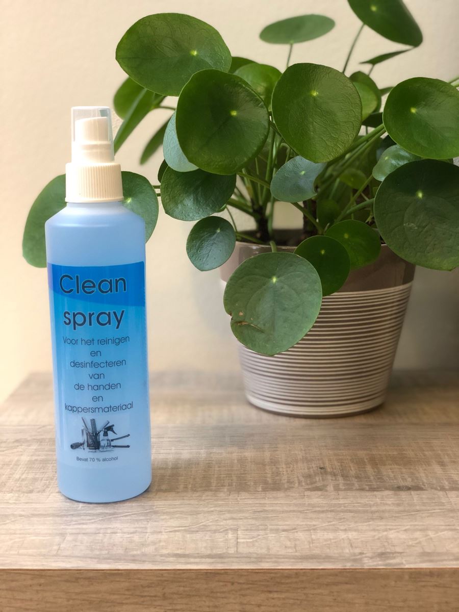 Ontsmettende Clean Spray 70% 250Ml Vr Handen En Instrumenten