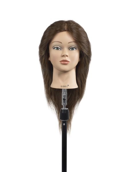 Oefenhoofd Anna Bruin